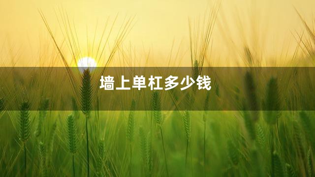 墙上单杠多少钱