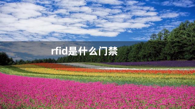 rfid是什么门禁