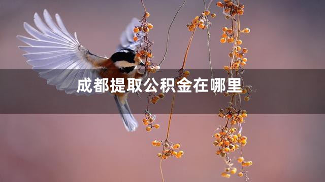 成都提取公积金在哪里