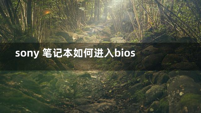 sony 笔记本如何进入bios