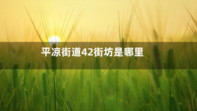 平凉街道42街坊是哪里