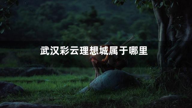 武汉彩云理想城属于哪里