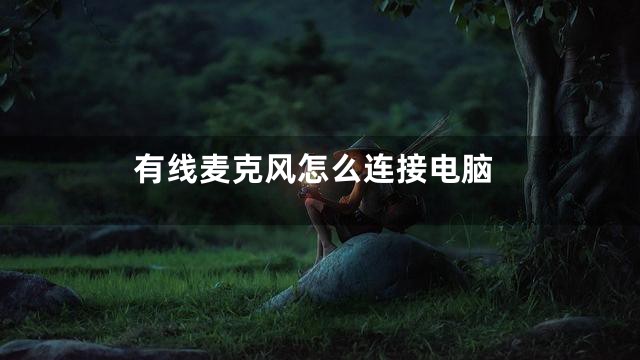 有线麦克风怎么连接电脑