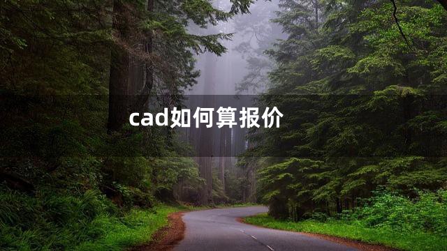 cad如何算报价