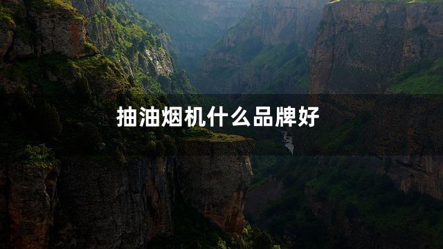 抽油烟机什么品牌好