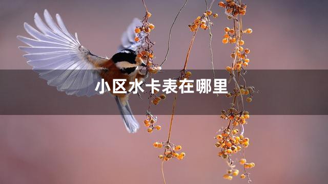 小区水卡表在哪里