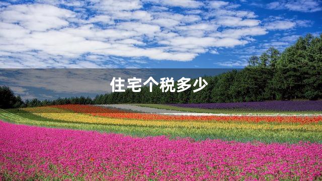 住宅个税多少