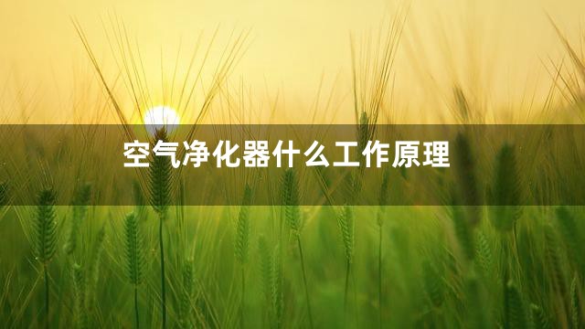 空气净化器什么工作原理