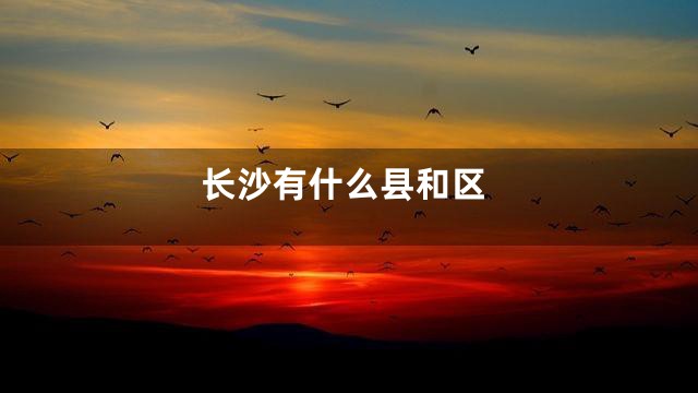 长沙有什么县和区