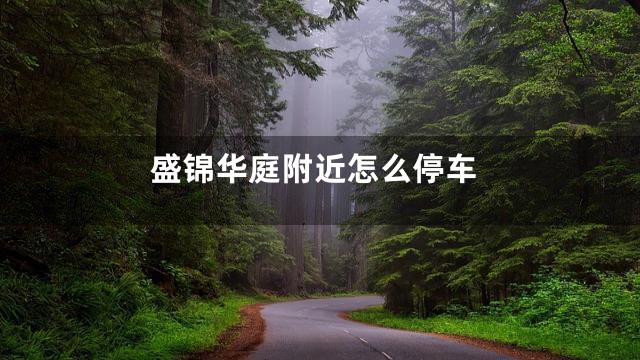 盛锦华庭附近怎么停车