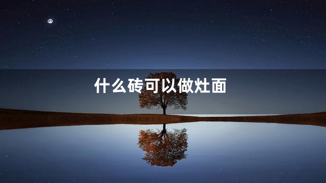 什么砖可以做灶面
