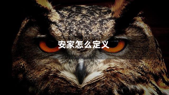 安家怎么定义