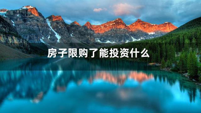 房子限购了能投资什么