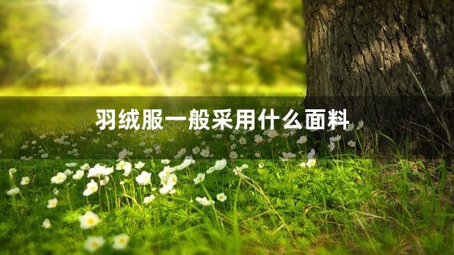 羽绒服一般采用什么面料