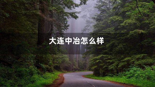 大连中冶怎么样