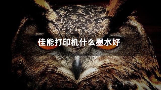 佳能打印机什么墨水好