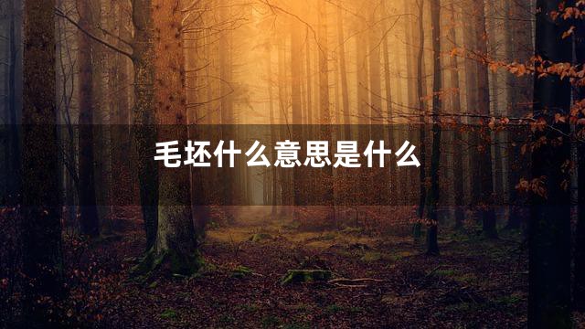 毛坯什么意思是什么