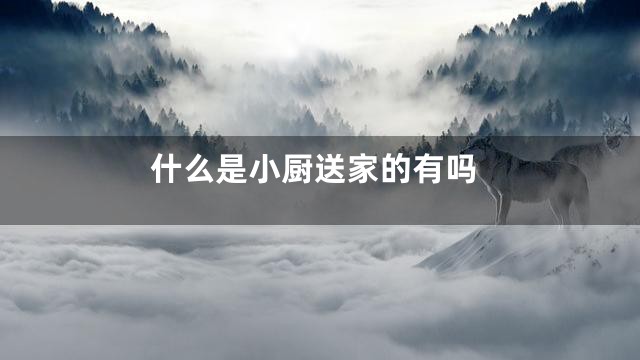 什么是小厨送家的有吗