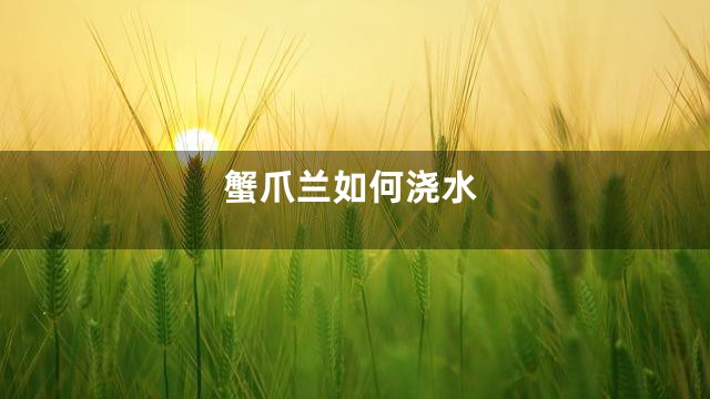 蟹爪兰如何浇水