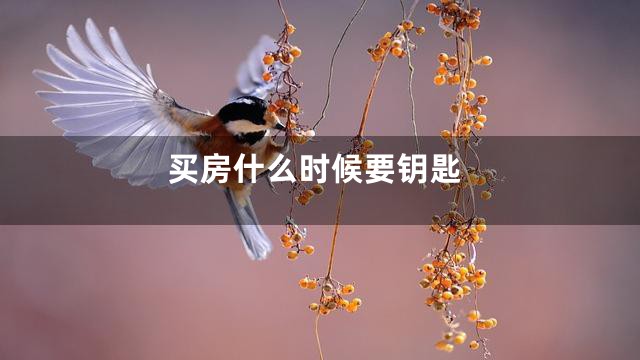 买房什么时候要钥匙