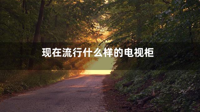 现在流行什么样的电视柜