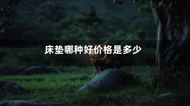 床垫哪种好价格是多少