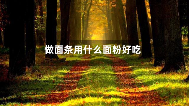 做面条用什么面粉好吃