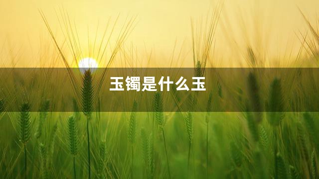 玉镯是什么玉