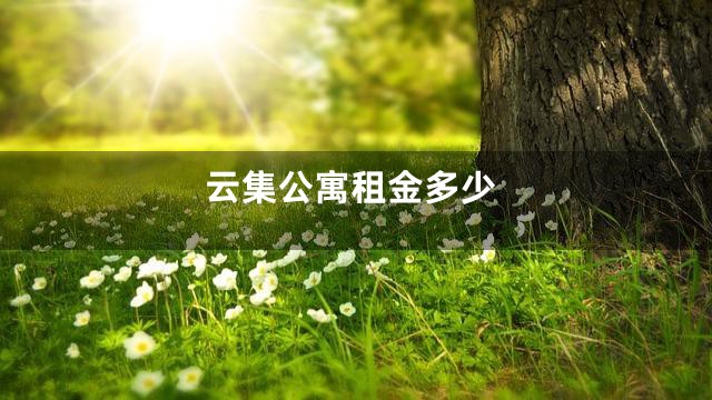 云集公寓租金多少