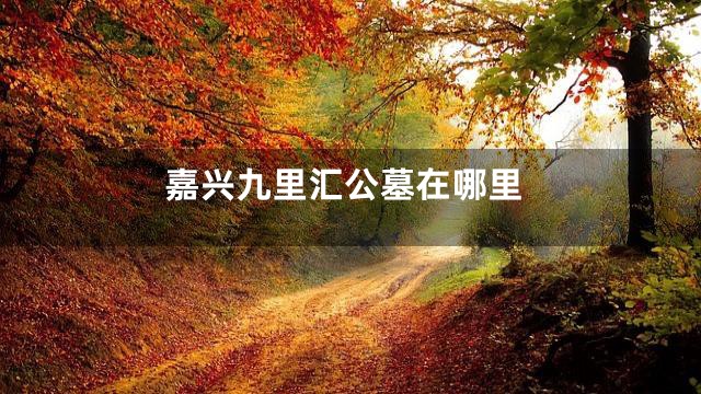 嘉兴九里汇公墓在哪里