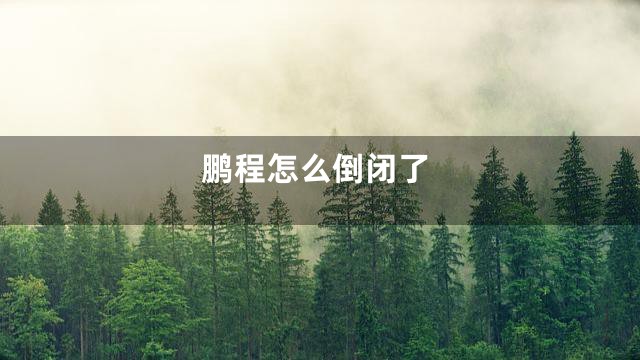 鹏程怎么倒闭了