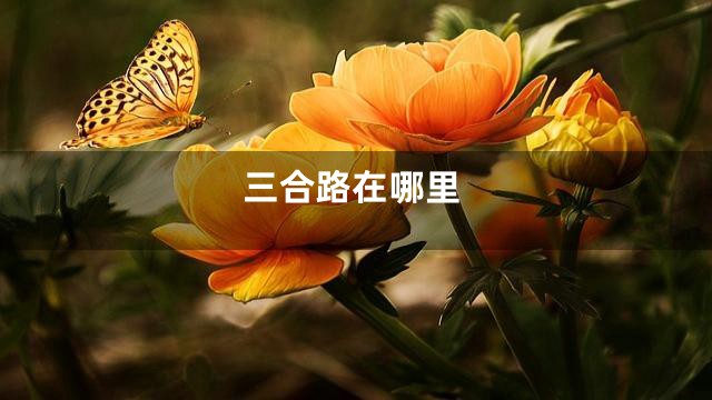 三合路在哪里