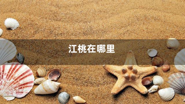江桃在哪里