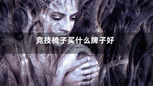 竞技椅子买什么牌子好