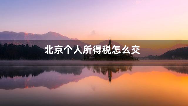北京个人所得税怎么交