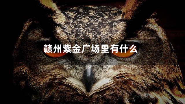 赣州紫金广场里有什么