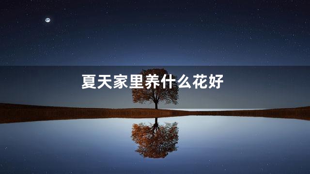 夏天家里养什么花好