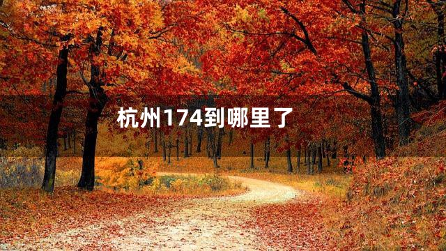 杭州174到哪里了