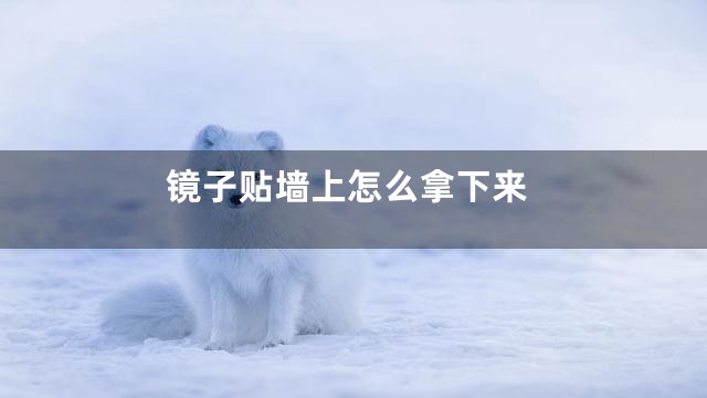 镜子贴墙上怎么拿下来