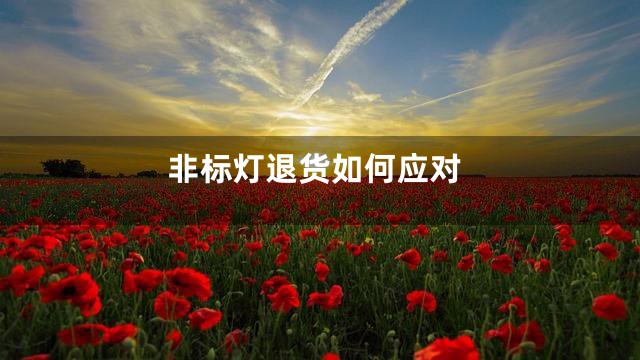 非标灯退货如何应对