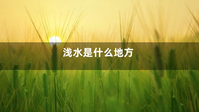 浅水是什么地方