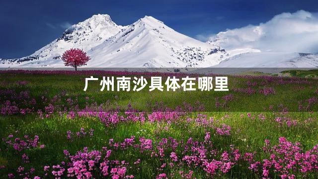 广州南沙具体在哪里