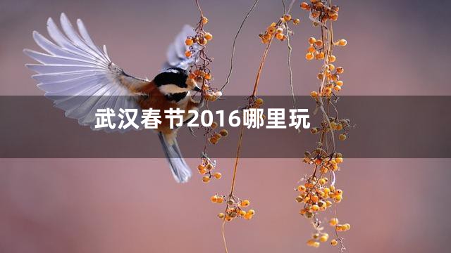 武汉春节2016哪里玩