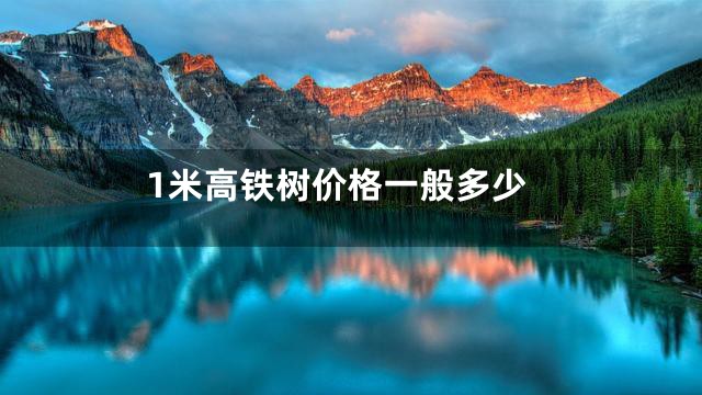 1米高铁树价格一般多少