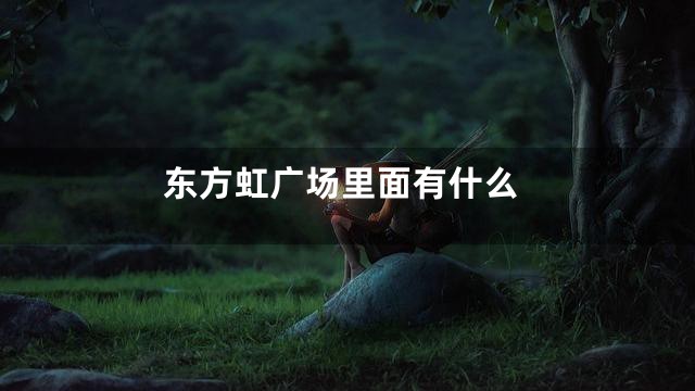 东方虹广场里面有什么