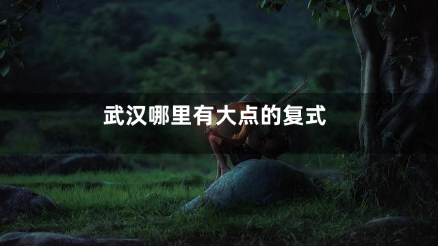 武汉哪里有大点的复式