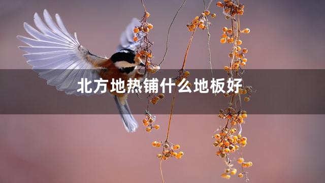 北方地热铺什么地板好