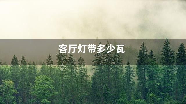 客厅灯带多少瓦