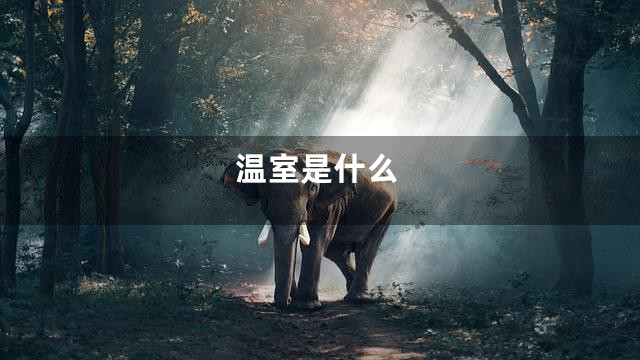 温室是什么