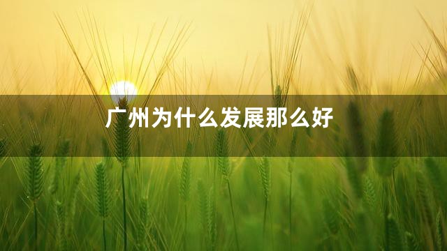 广州为什么发展那么好